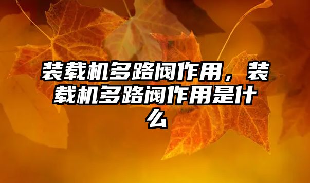 裝載機多路閥作用，裝載機多路閥作用是什么