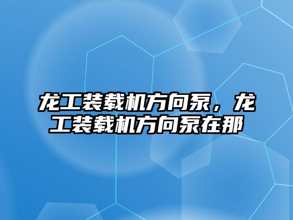 龍工裝載機方向泵，龍工裝載機方向泵在那