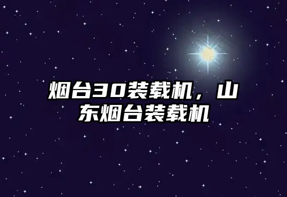 煙臺30裝載機，山東煙臺裝載機