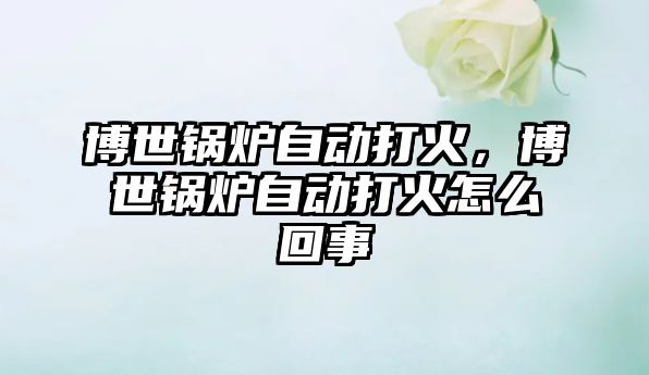 博世鍋爐自動(dòng)打火，博世鍋爐自動(dòng)打火怎么回事