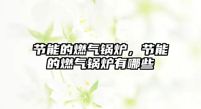 節(jié)能的燃?xì)忮仩t，節(jié)能的燃?xì)忮仩t有哪些