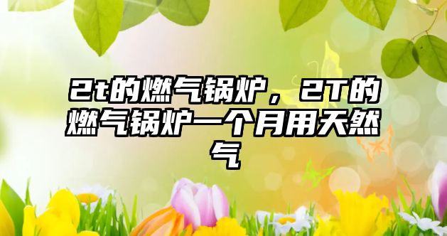 2t的燃?xì)忮仩t，2T的燃?xì)忮仩t一個月用天然氣