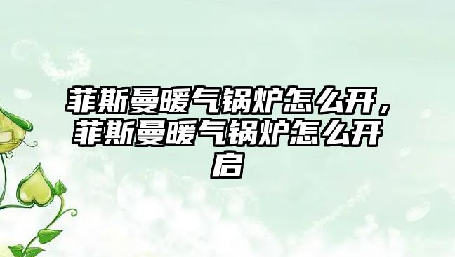 菲斯曼暖氣鍋爐怎么開，菲斯曼暖氣鍋爐怎么開啟
