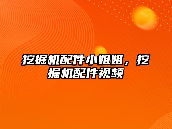 挖掘機(jī)配件小姐姐，挖掘機(jī)配件視頻