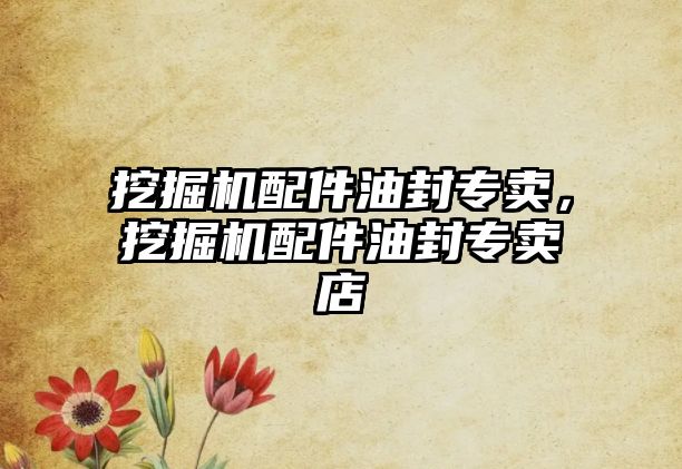 挖掘機(jī)配件油封專賣，挖掘機(jī)配件油封專賣店