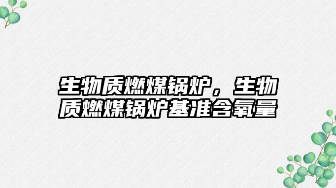 生物質(zhì)燃煤鍋爐，生物質(zhì)燃煤鍋爐基準(zhǔn)含氧量