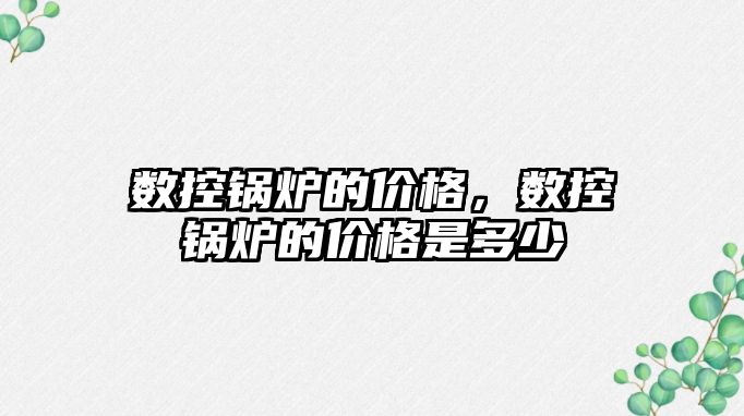 數(shù)控鍋爐的價格，數(shù)控鍋爐的價格是多少