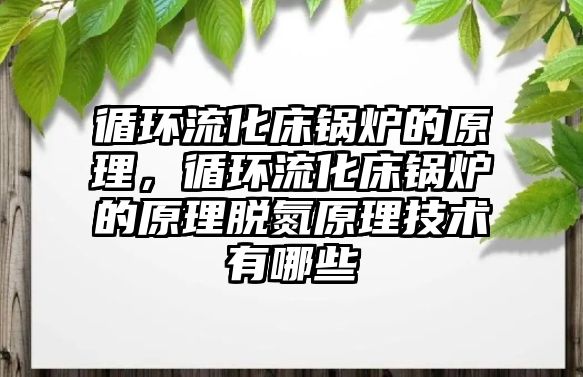 循環(huán)流化床鍋爐的原理，循環(huán)流化床鍋爐的原理脫氮原理技術(shù)有哪些