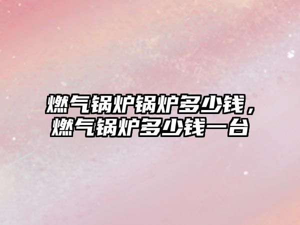 燃?xì)忮仩t鍋爐多少錢，燃?xì)忮仩t多少錢一臺(tái)