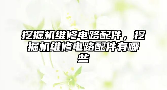 挖掘機維修電路配件，挖掘機維修電路配件有哪些