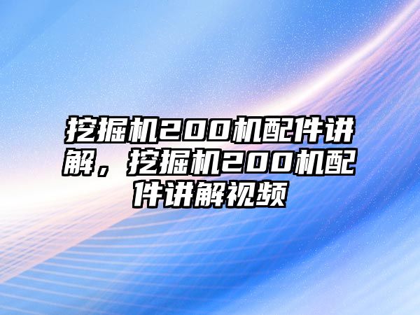 挖掘機(jī)200機(jī)配件講解，挖掘機(jī)200機(jī)配件講解視頻