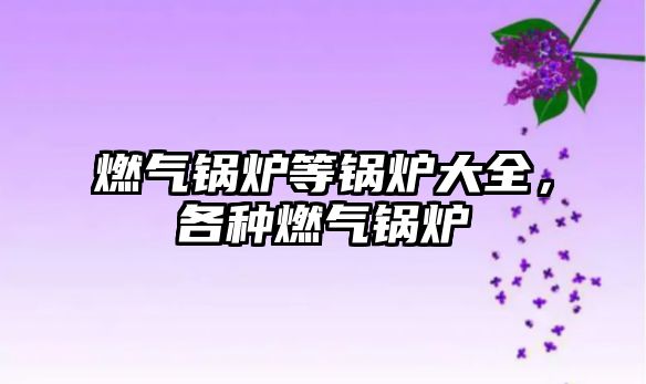 燃?xì)忮仩t等鍋爐大全，各種燃?xì)忮仩t