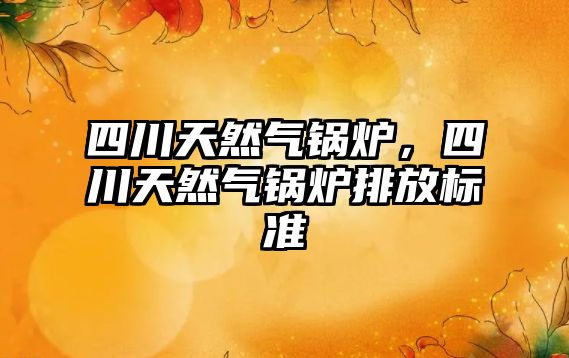 四川天然氣鍋爐，四川天然氣鍋爐排放標(biāo)準(zhǔn)