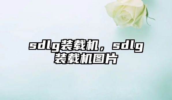 sdlg裝載機(jī)，sdlg裝載機(jī)圖片