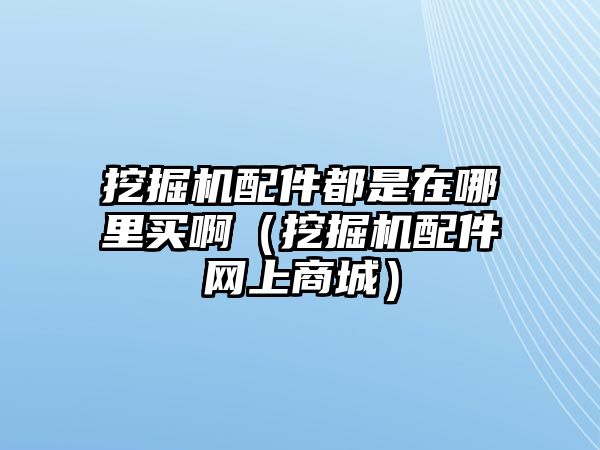 挖掘機(jī)配件都是在哪里買?。ㄍ诰驒C(jī)配件網(wǎng)上商城）