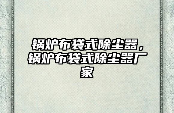 鍋爐布袋式除塵器，鍋爐布袋式除塵器廠家