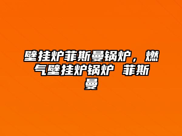 壁掛爐菲斯曼鍋爐，燃?xì)獗趻鞝t鍋爐 菲斯曼