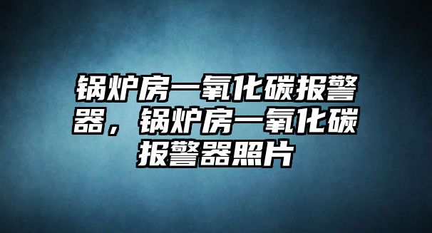 鍋爐房一氧化碳報警器，鍋爐房一氧化碳報警器照片