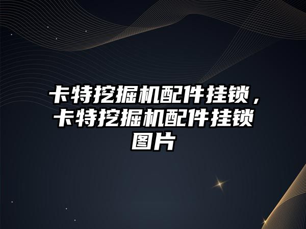 卡特挖掘機(jī)配件掛鎖，卡特挖掘機(jī)配件掛鎖圖片