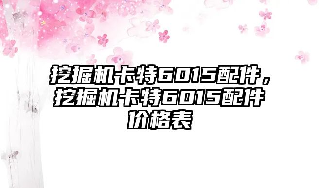 挖掘機(jī)卡特6015配件，挖掘機(jī)卡特6015配件價(jià)格表
