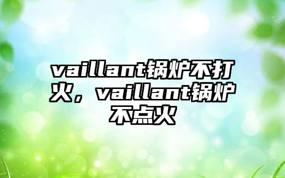 vaillant鍋爐不打火，vaillant鍋爐不點火