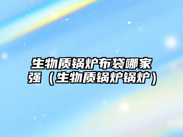 生物質(zhì)鍋爐布袋哪家強(qiáng)（生物質(zhì)鍋爐鍋爐）
