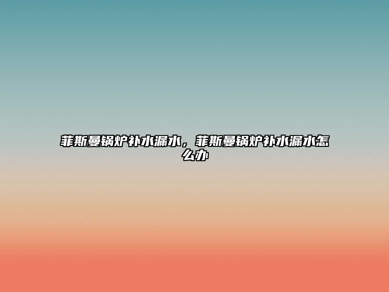 菲斯曼鍋爐補(bǔ)水漏水，菲斯曼鍋爐補(bǔ)水漏水怎么辦