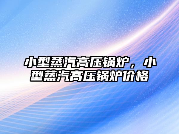 小型蒸汽高壓鍋爐，小型蒸汽高壓鍋爐價(jià)格