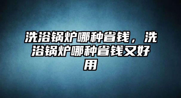 洗浴鍋爐哪種省錢，洗浴鍋爐哪種省錢又好用