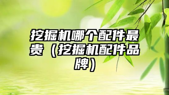 挖掘機(jī)哪個(gè)配件最貴（挖掘機(jī)配件品牌）