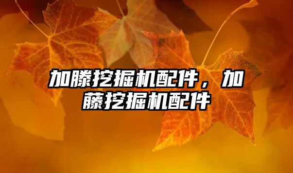 加滕挖掘機(jī)配件，加藤挖掘機(jī)配件