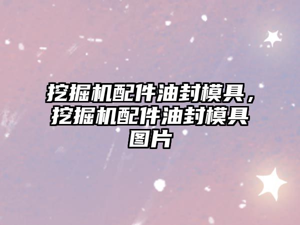 挖掘機配件油封模具，挖掘機配件油封模具圖片