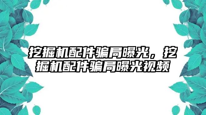 挖掘機配件騙局曝光，挖掘機配件騙局曝光視頻