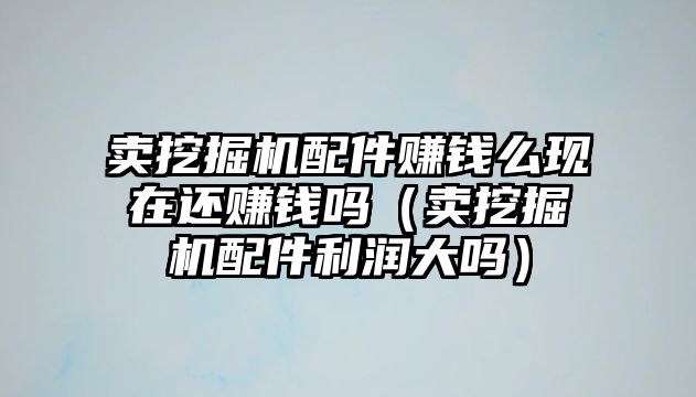 賣挖掘機(jī)配件賺錢么現(xiàn)在還賺錢嗎（賣挖掘機(jī)配件利潤大嗎）