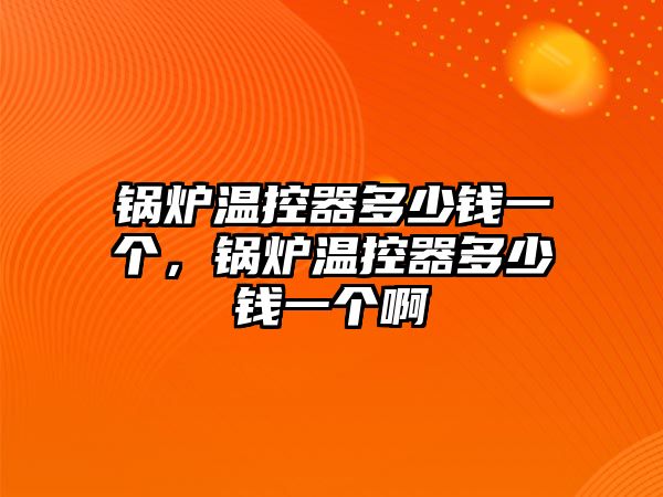 鍋爐溫控器多少錢一個，鍋爐溫控器多少錢一個啊