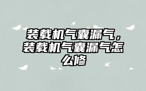 裝載機(jī)氣囊漏氣，裝載機(jī)氣囊漏氣怎么修
