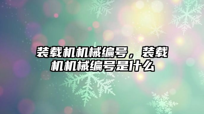 裝載機機械編號，裝載機機械編號是什么