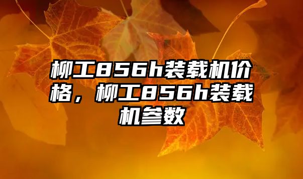 柳工856h裝載機(jī)價格，柳工856h裝載機(jī)參數(shù)