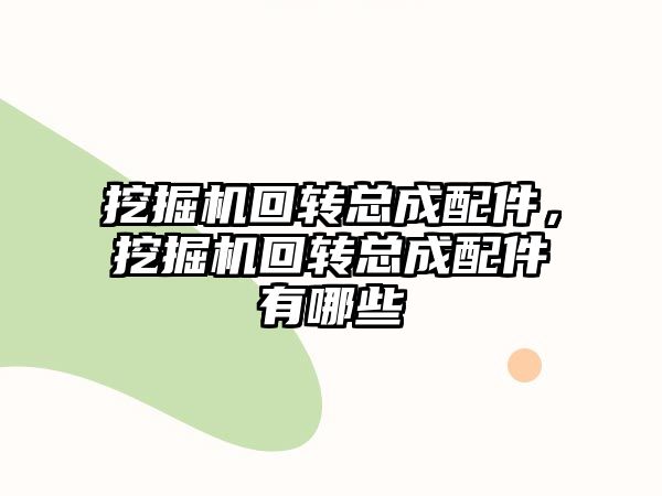 挖掘機回轉(zhuǎn)總成配件，挖掘機回轉(zhuǎn)總成配件有哪些