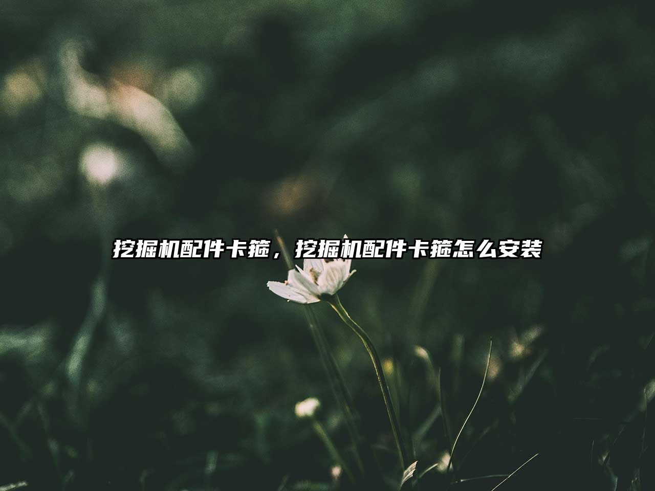 挖掘機配件卡箍，挖掘機配件卡箍怎么安裝
