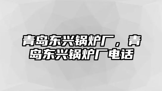 青島東興鍋爐廠，青島東興鍋爐廠電話