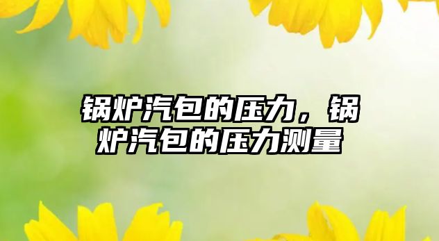 鍋爐汽包的壓力，鍋爐汽包的壓力測(cè)量