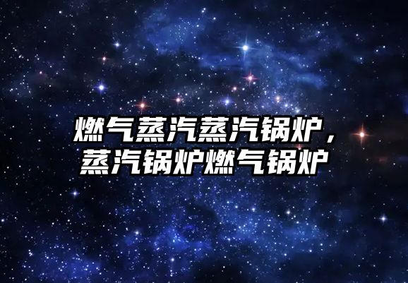 燃?xì)庹羝羝仩t，蒸汽鍋爐燃?xì)忮仩t