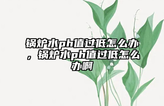 鍋爐水ph值過低怎么辦，鍋爐水ph值過低怎么辦啊