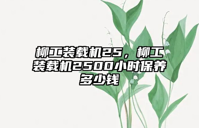 柳工裝載機25，柳工裝載機2500小時保養(yǎng)多少錢