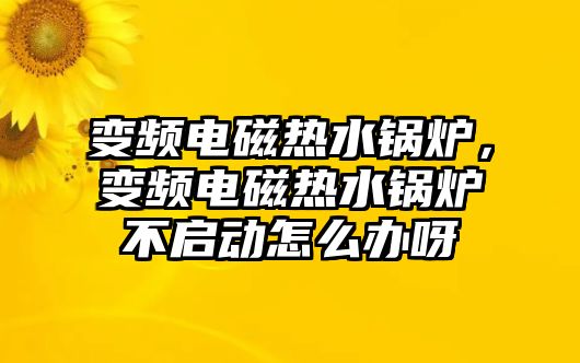 變頻電磁熱水鍋爐，變頻電磁熱水鍋爐不啟動(dòng)怎么辦呀