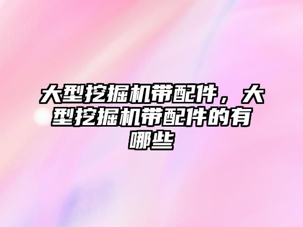 大型挖掘機帶配件，大型挖掘機帶配件的有哪些
