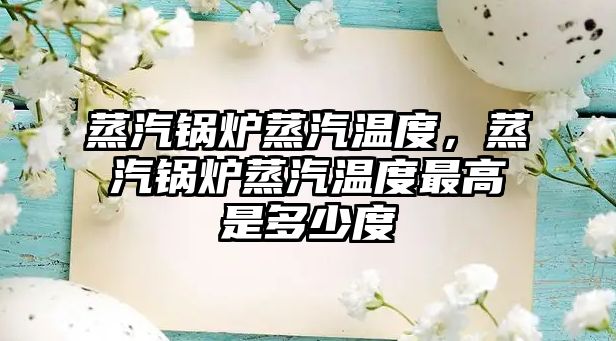 蒸汽鍋爐蒸汽溫度，蒸汽鍋爐蒸汽溫度最高是多少度
