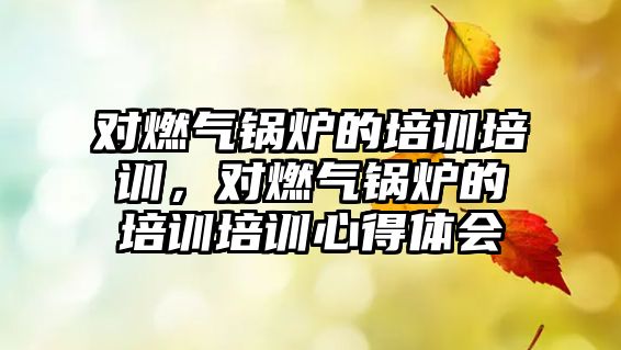 對燃?xì)忮仩t的培訓(xùn)培訓(xùn)，對燃?xì)忮仩t的培訓(xùn)培訓(xùn)心得體會