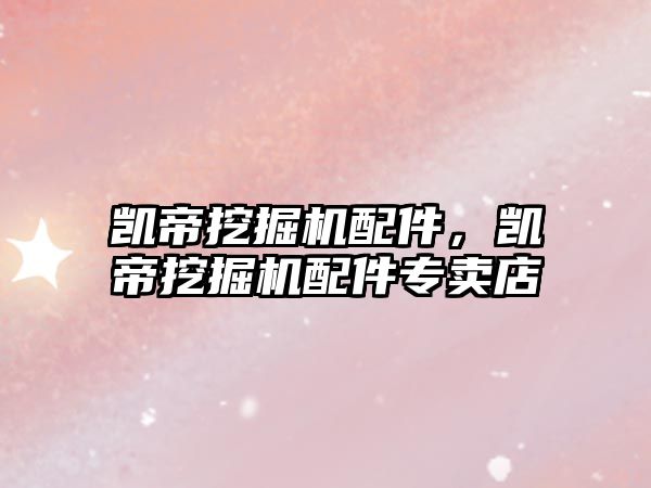 凱帝挖掘機(jī)配件，凱帝挖掘機(jī)配件專賣店